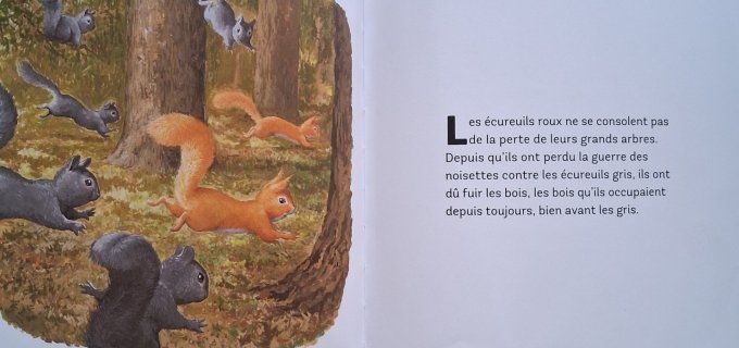 Robin l'écureuil du jardin