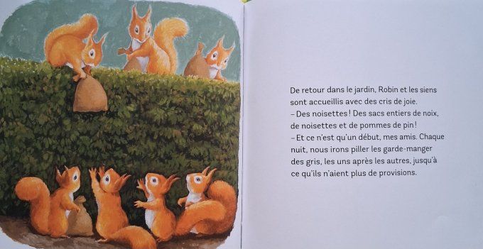 Robin l'écureuil du jardin