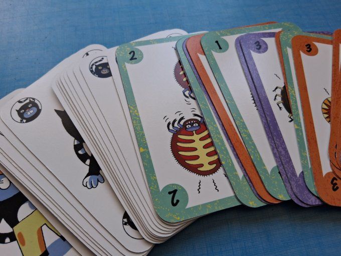 Jeu de carts Sakapuss