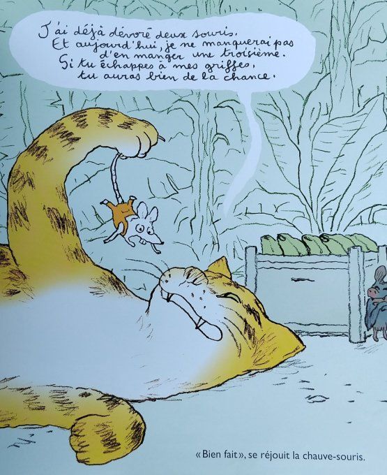 Sauve-souris !