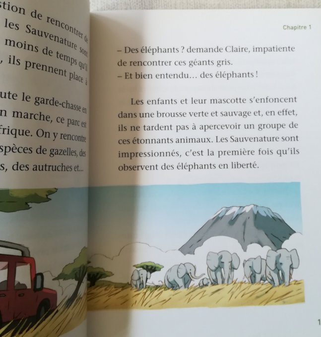 Les sauvenature, défendons les éléphants