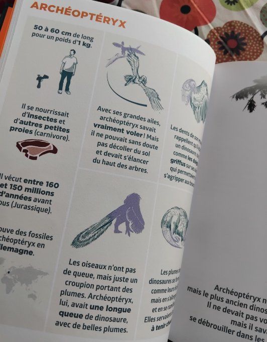 Le livre pour tout savoir sur les dinosaures le + facile du monde