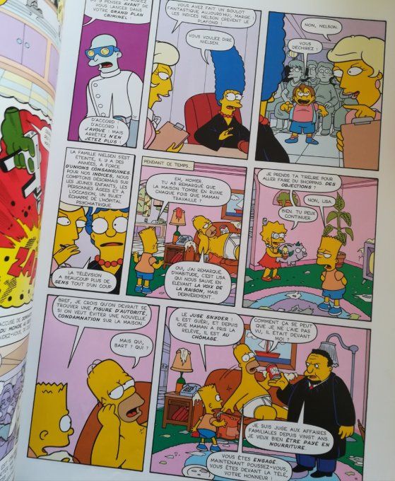 Les simpson camping en délire tome 1