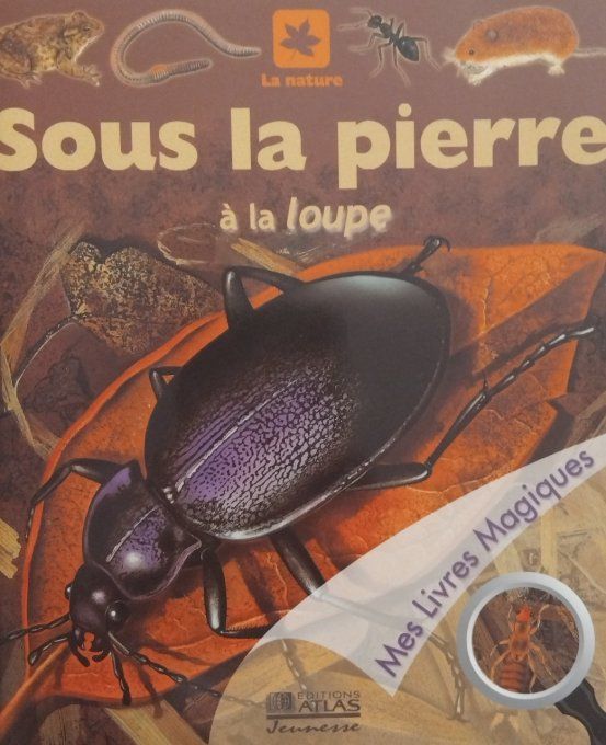 Sous la pierre à la loupe