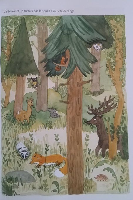 Sur les traces de l'ours