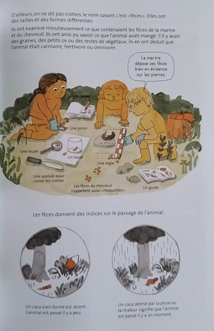 Sur les traces de l'ours