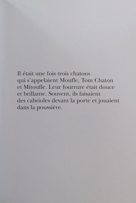 Tom chaton