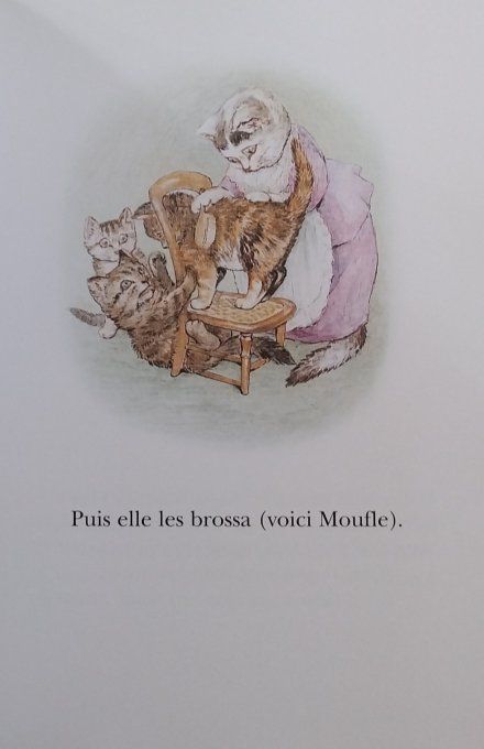 Tom chaton