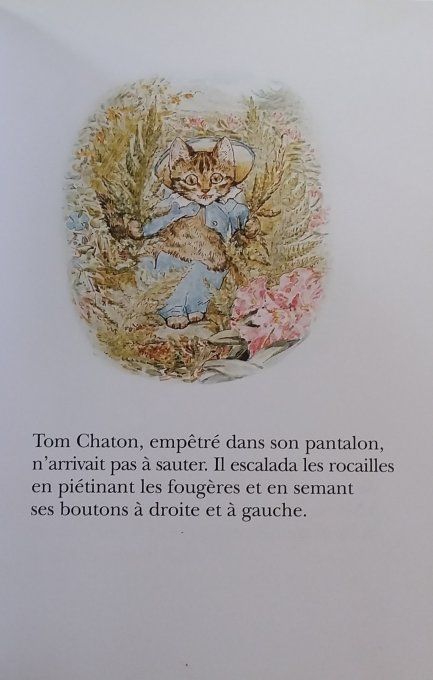 Tom chaton