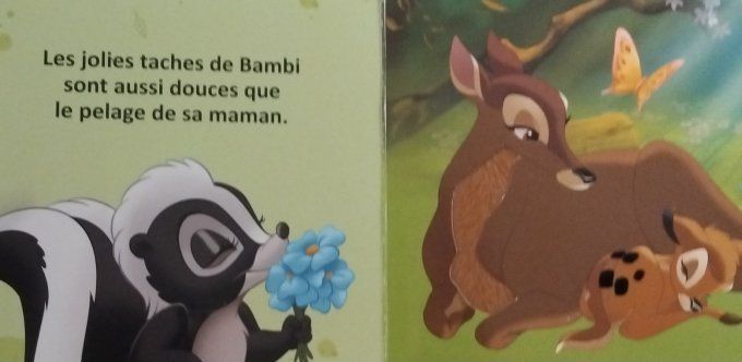 Disney Animaux, touche la forêt