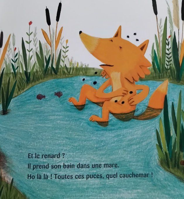 Tous au bain !