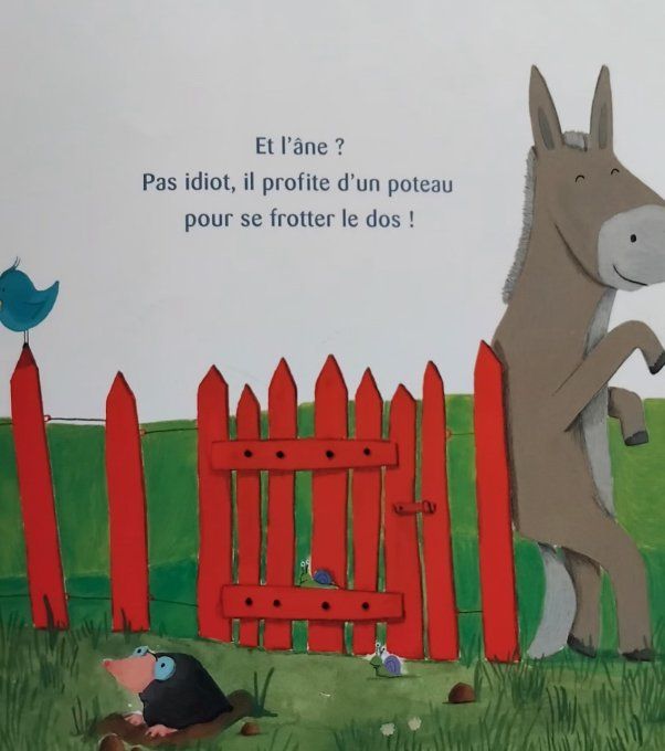 Tous au bain !