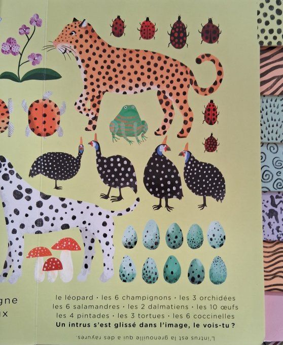 Tous les motifs sont dans la nature