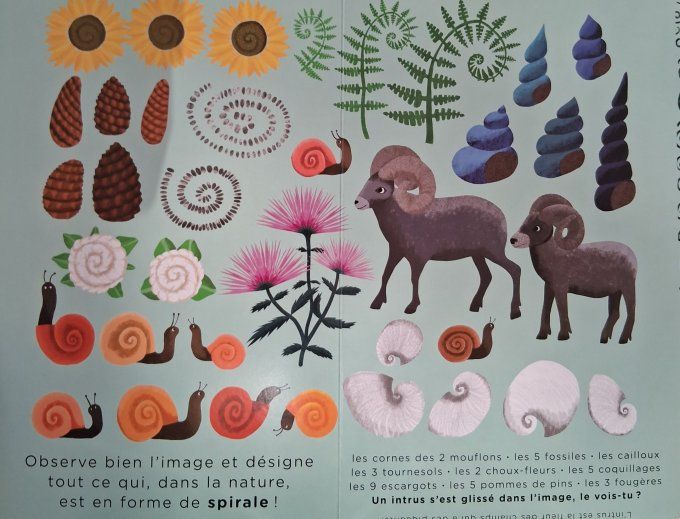 Tous les motifs sont dans la nature