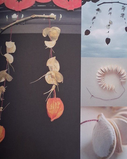 Tout sur les saisons