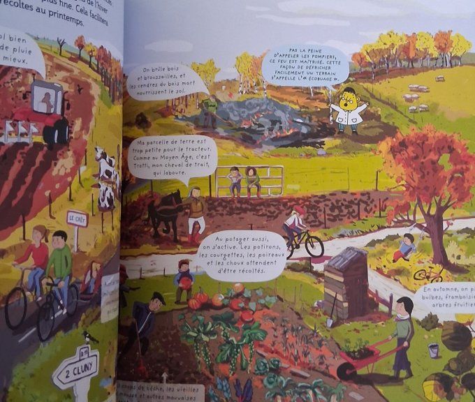 Tout sur les saisons