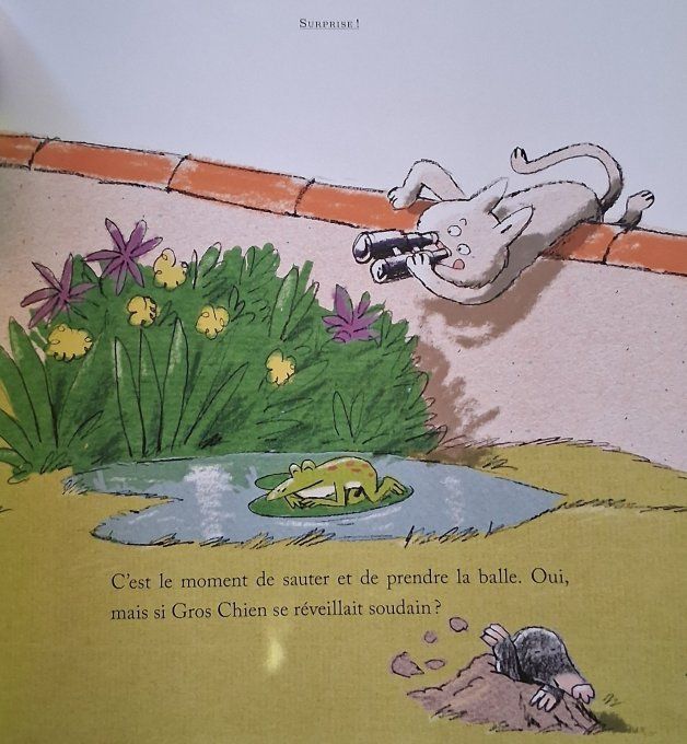 Toutes mes histoires d'animaux préférés