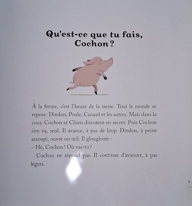 Toutes mes histoires d'animaux préférés