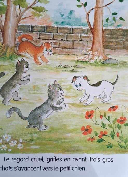 Un amour de petit chien