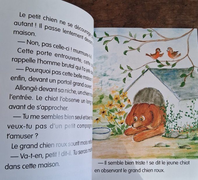 Un amour de petit chien