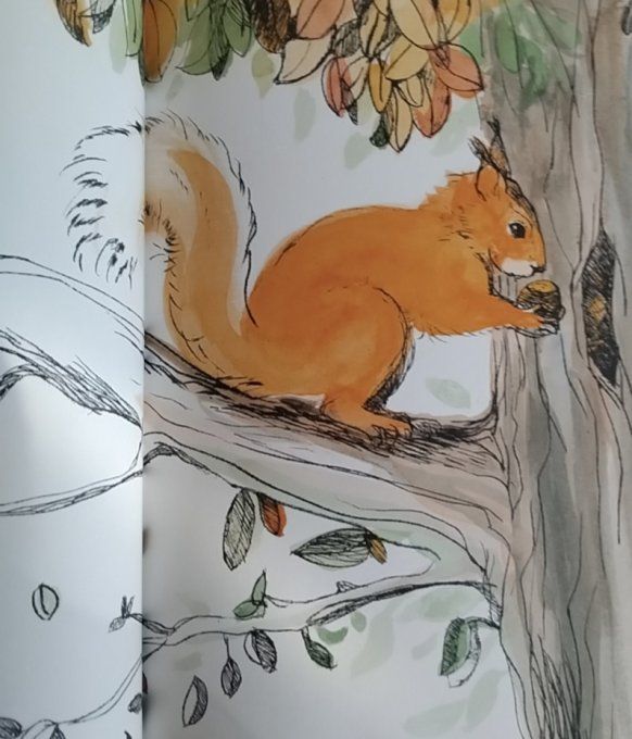 Un arbre merveilleux