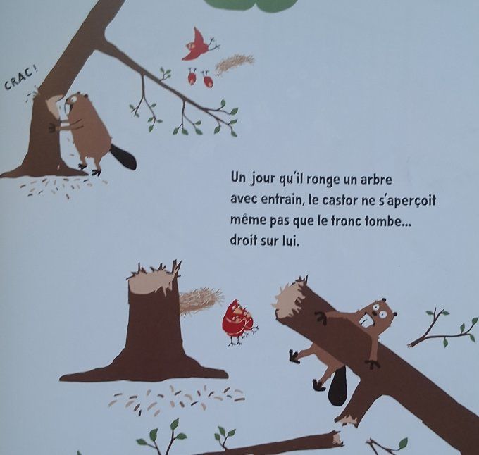 Un castor très occupé