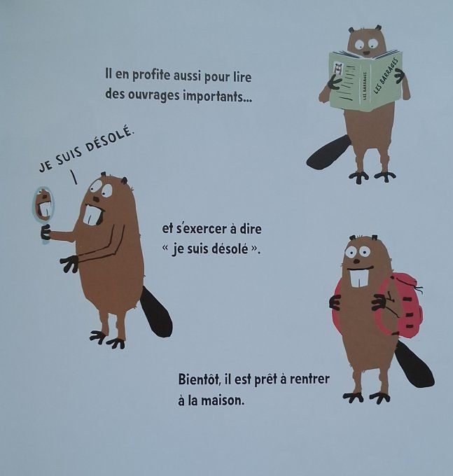 Un castor très occupé