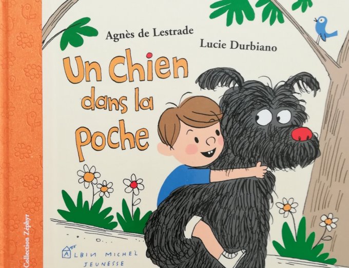 Un chien dans la poche