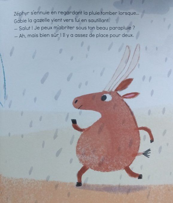 Un coin de parapluie