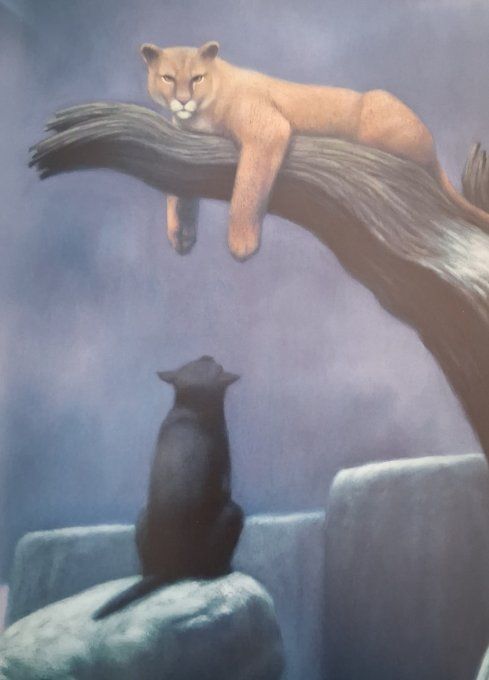Un froid de loup