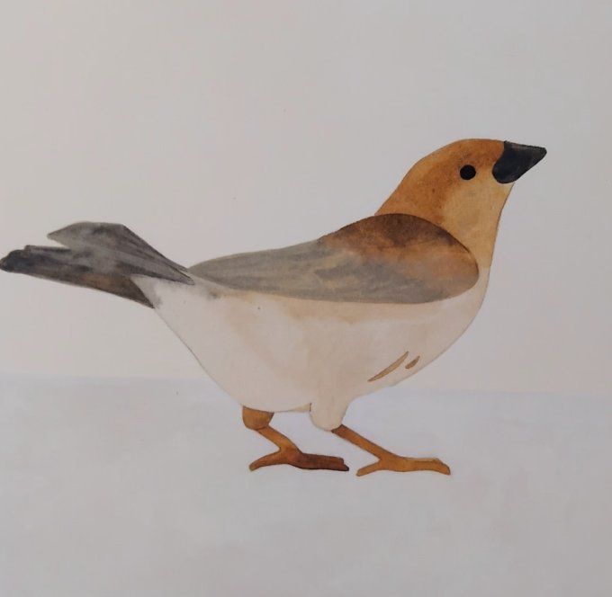 Un oiseau, une fleur