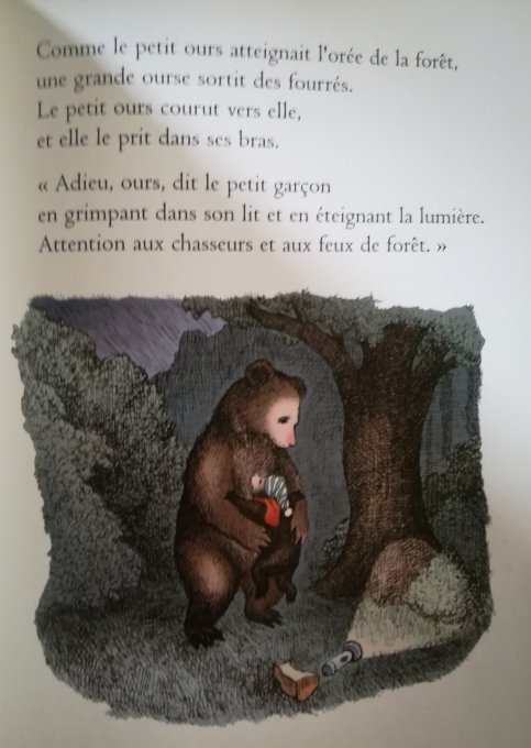 Un ours à ma fenêtre