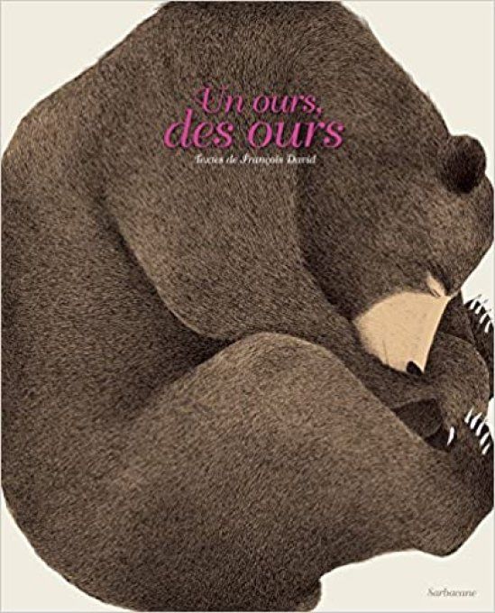 Un ours des ours