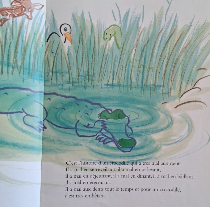 Une affreuse rage de dents