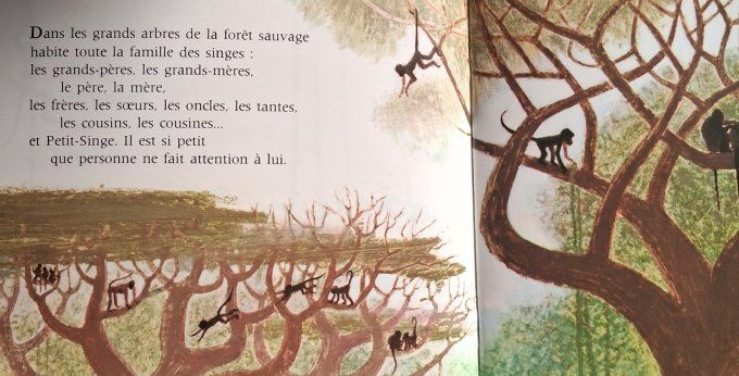 Une histoire de singe