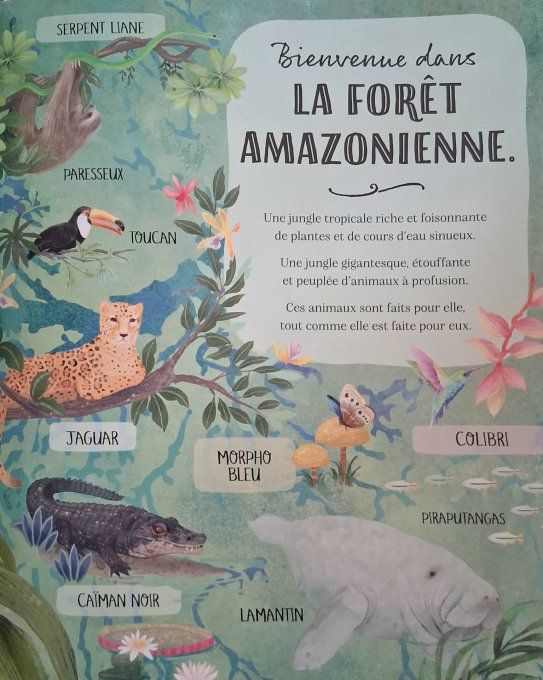 Une journée dans la forêt Amazonienne