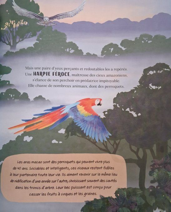 Une journée dans la forêt Amazonienne