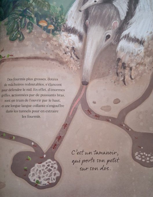 Une journée dans la forêt Amazonienne