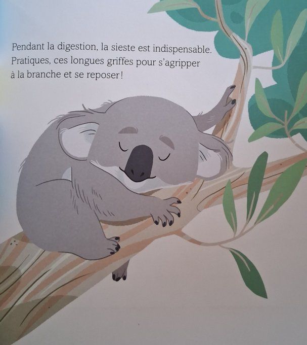 Une nouvelle vie pour Noah 