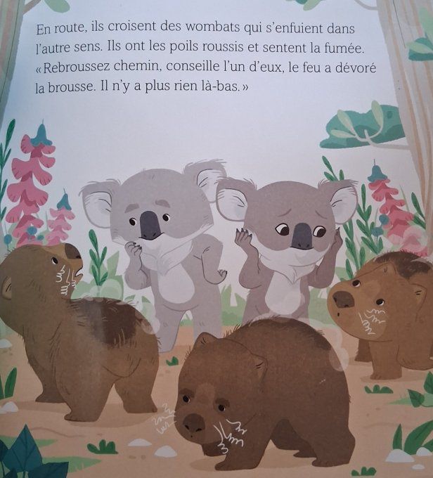 Une nouvelle vie pour Noah 
