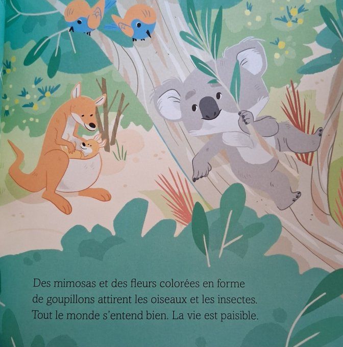 Une nouvelle vie pour Noah 