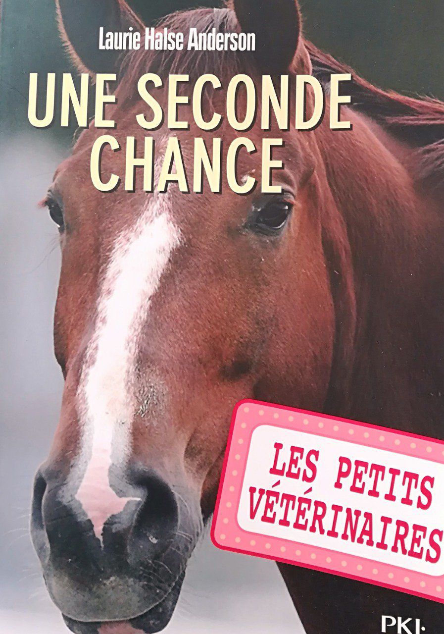 Une seconde chance, les petits vétérinaire tome 3