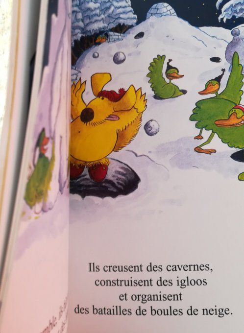 Vincent en hiver