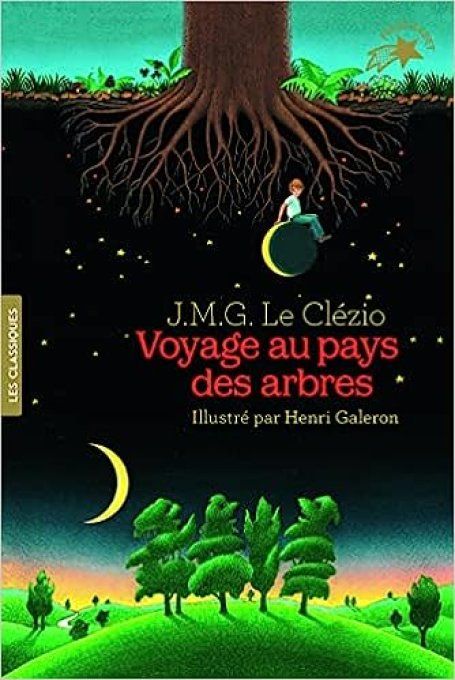 Voyage au pays des arbres