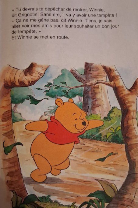 Winnie l'ourson et le jour de la tempête