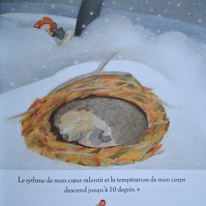 Yok-Yok le hérisson