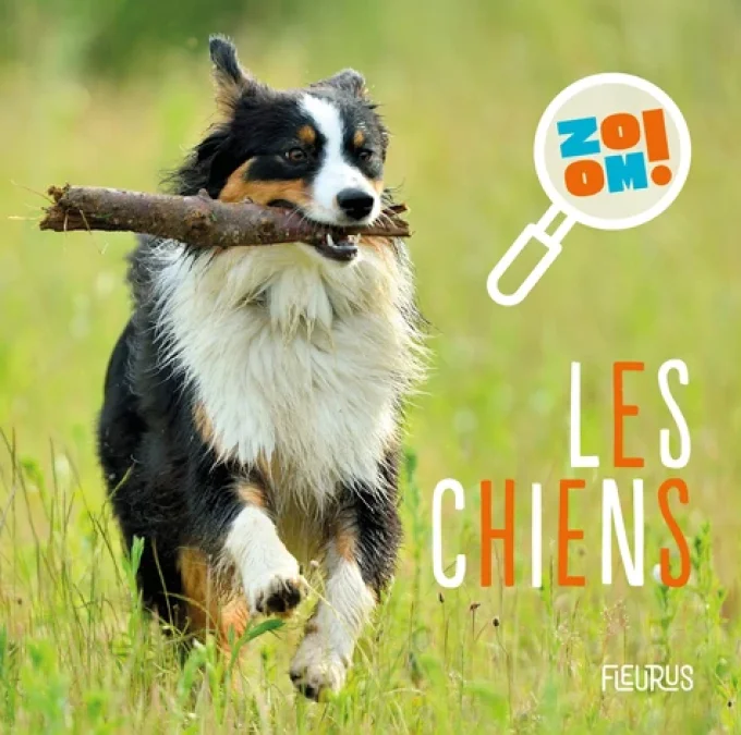 Zoom les chiens